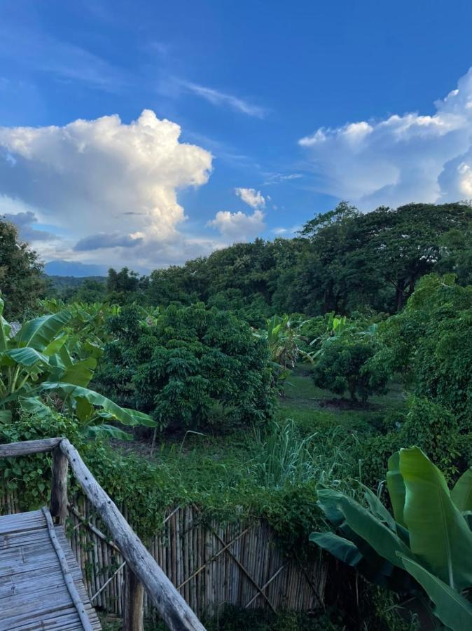 Chiang Dao Hostel Zewnętrze zdjęcie