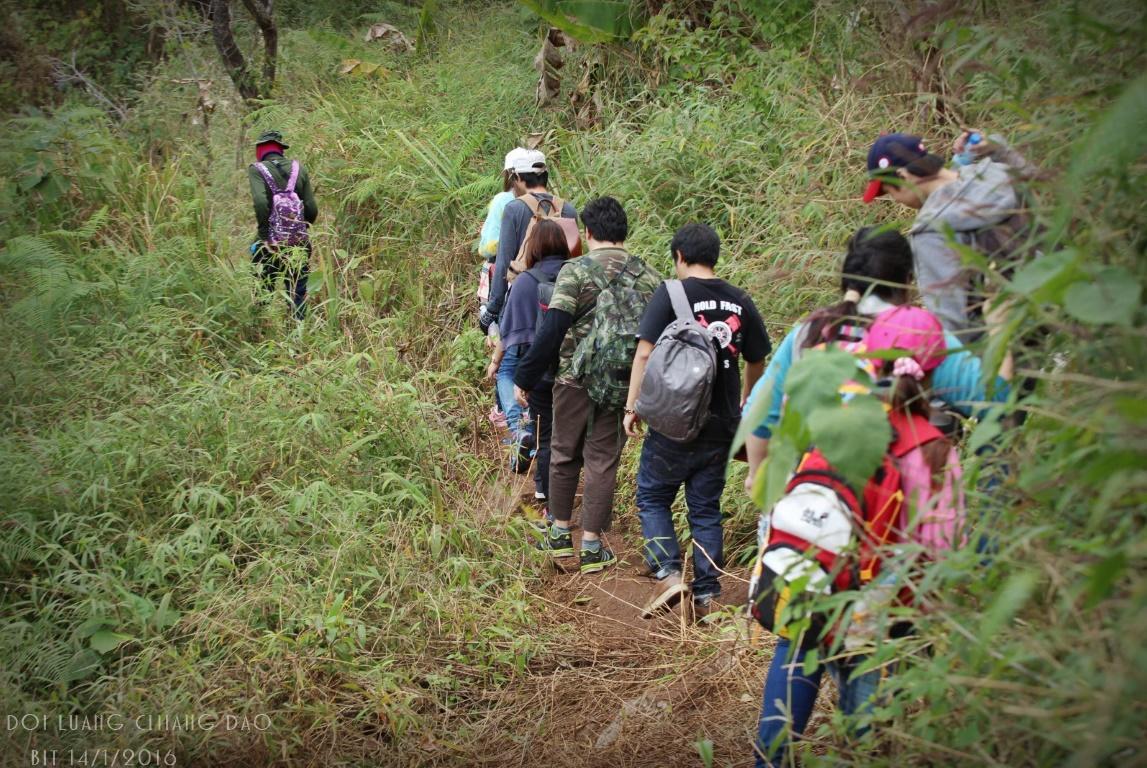 Chiang Dao Hostel Zewnętrze zdjęcie