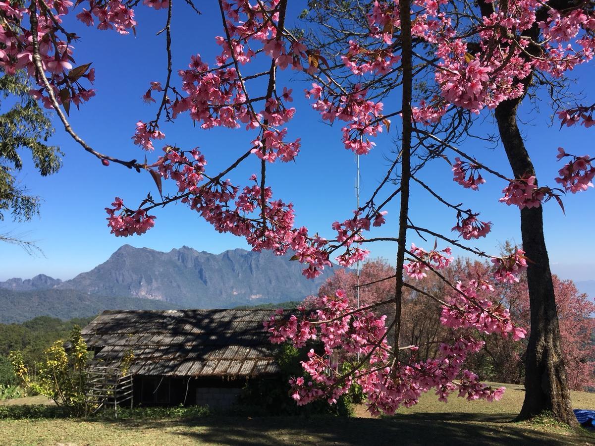 Chiang Dao Hostel Zewnętrze zdjęcie