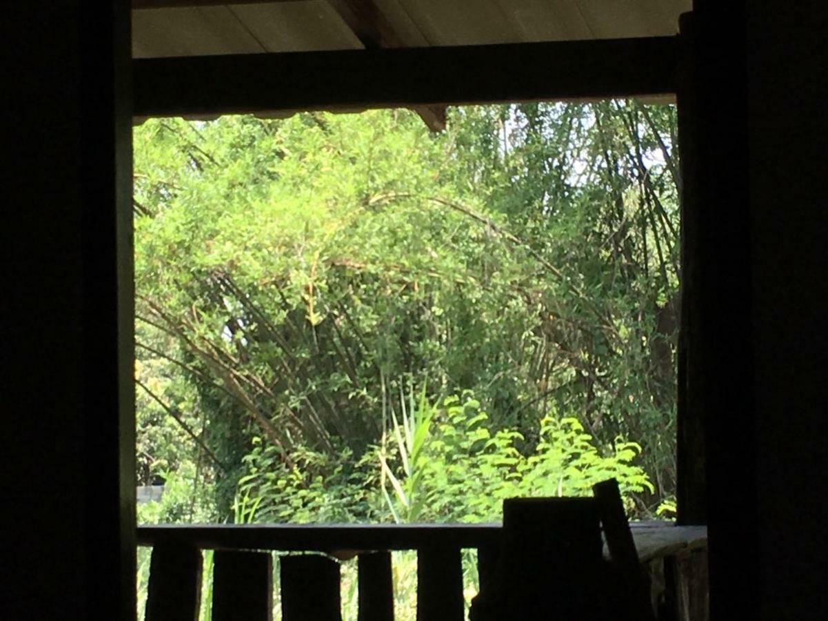 Chiang Dao Hostel Zewnętrze zdjęcie